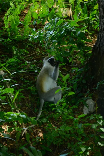 DSC_7874 (Large).JPG